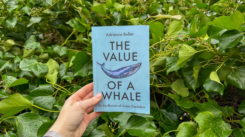 Hayley Kinsey The Value of a Whale